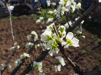 Similar image 21418248