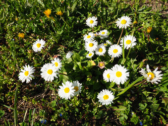 Similar image 21418249