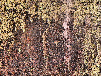 Similar image 21390337