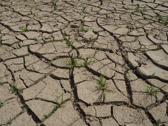 Similar image 21390667