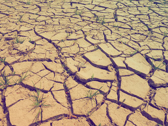 Similar image 21390672