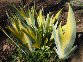 Similar image 21390674