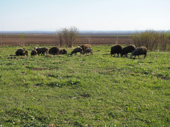 Similar image 21390676