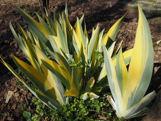 Similar image 21390678