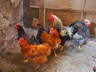 Similar image 21415866