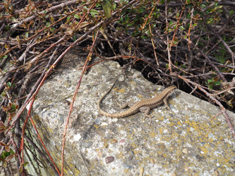 Similar image 21415867