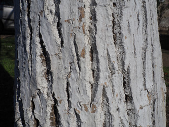 Similar image 21416136