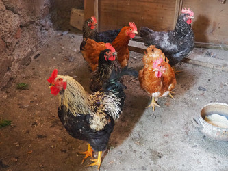 Similar image 21416220