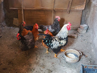 Similar image 21416370