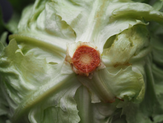 Similar image 21416421