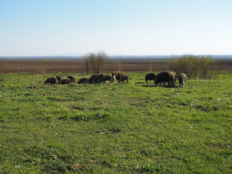 Similar image 21416422