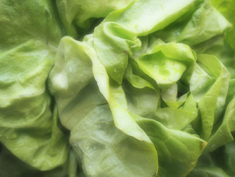 Similar image 21389373