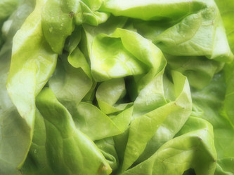 Similar image 21389374