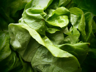 Similar image 21390346