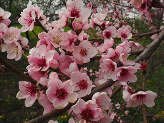 Similar image 21390349