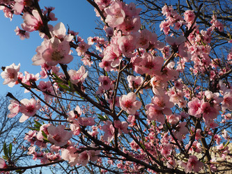 Similar image 21390350