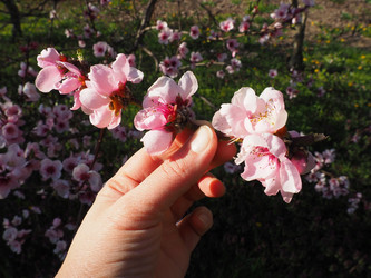 Similar image 21390353