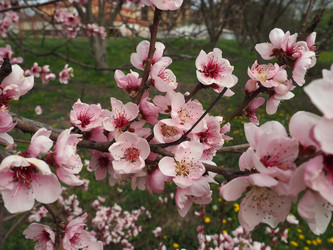 Similar image 21390354