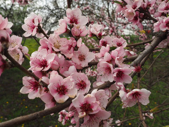 Similar image 21390359