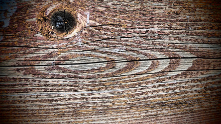 Similar image 21390368