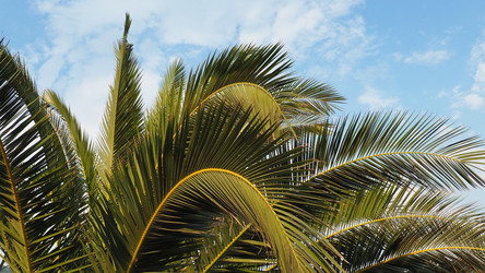 Similar image 21416613