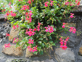 Similar image 21390370