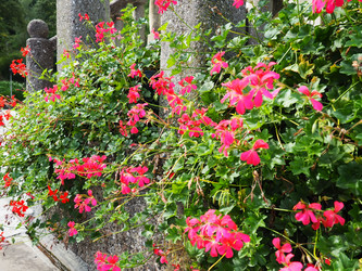 Similar image 21390682