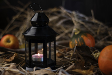 Similar image 21421483