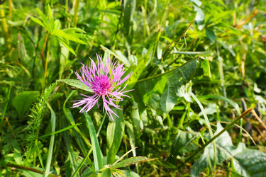 Similar image 21389376