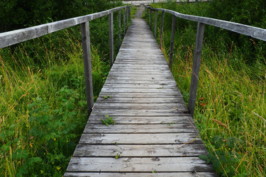 Similar image 21390684