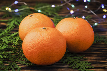 Similar image 21421485