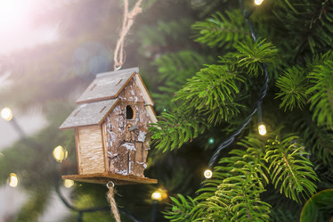 Similar image 21421496