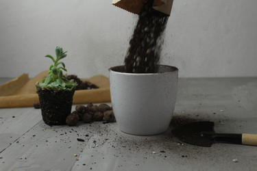 Similar image 21412562