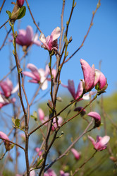 Similar image 21398609