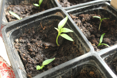 Similar image 21412564