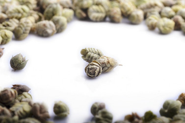 Similar image 21391139