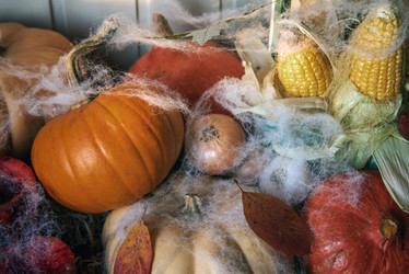 Similar image 21393961