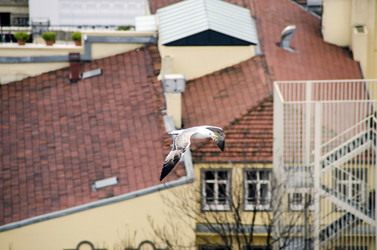 Similar image 21392348