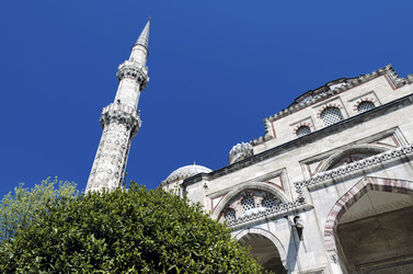 Similar image 21392349