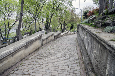 Similar image 21392672