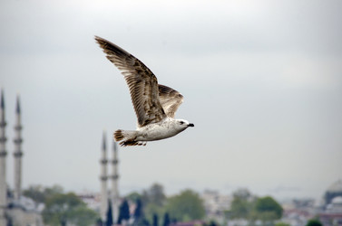 Similar image 21392675