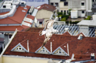 Similar image 21393082