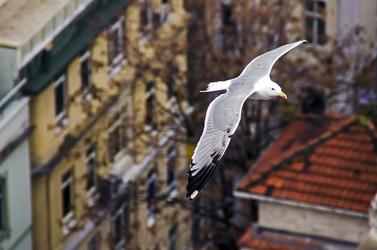 Similar image 21393086