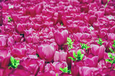 Similar image 21393342