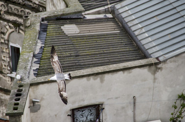 Similar image 21393343