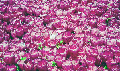 Similar image 21393348