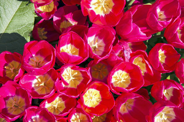 Similar image 21393350