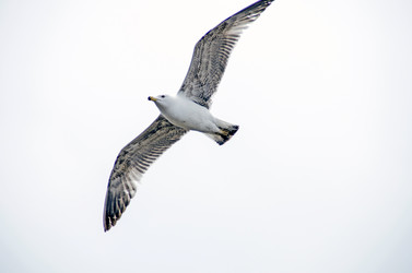 Similar image 21393351