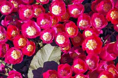 Similar image 21393352