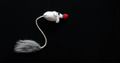 Similar image 21393970